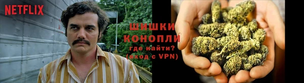 спиды Богданович