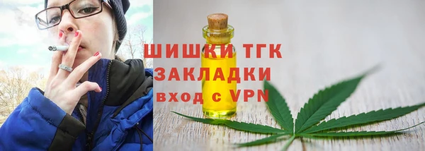 спиды Богданович
