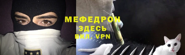 спиды Богданович