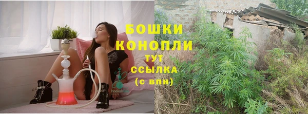 спиды Богданович