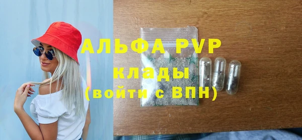 прущие грибы Белоозёрский