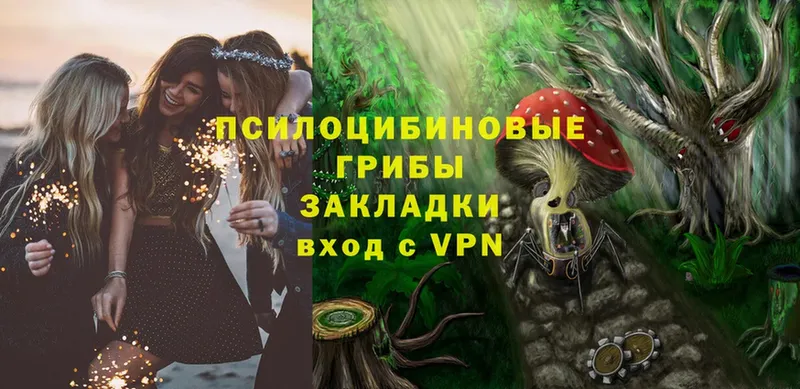 Псилоцибиновые грибы MAGIC MUSHROOMS  mega маркетплейс  Верхняя Тура  купить наркотики цена 